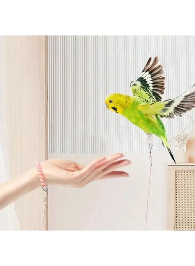 Black Parrot Outdoor Training Leash Set With Whistle Leg Rings Feeder 12pcs - Image 3